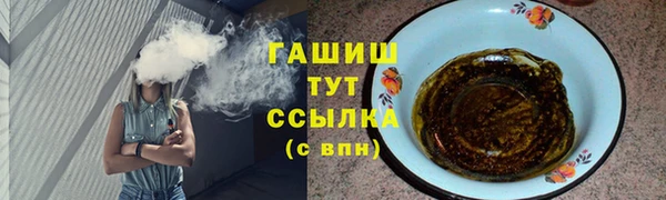 индика Вяземский