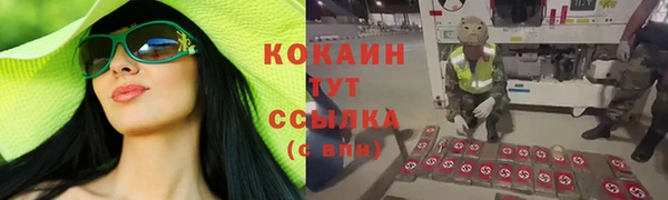 гидропоника Гусев