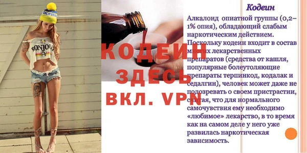 шишки Гусиноозёрск