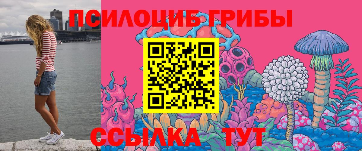 Псилоцибиновые грибы Cubensis  Вход с VPN  Красноармейск 